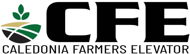 CFE Logo.png